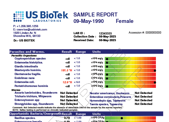 Gi Standard Profile - Classic Colorful Image - Ultra HD